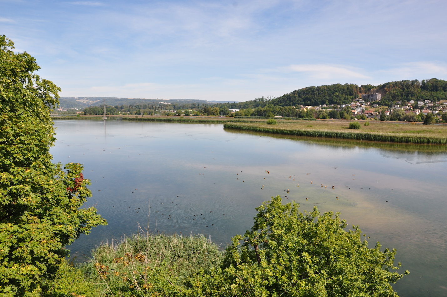 Aussicht vom Turm