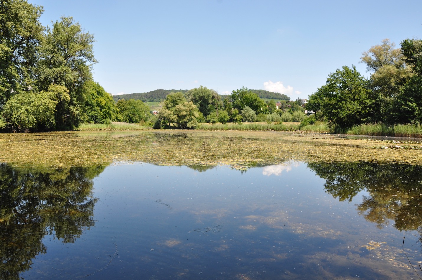 Weerd-Weiher