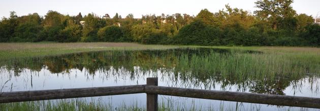 Landschaft Fischergrien