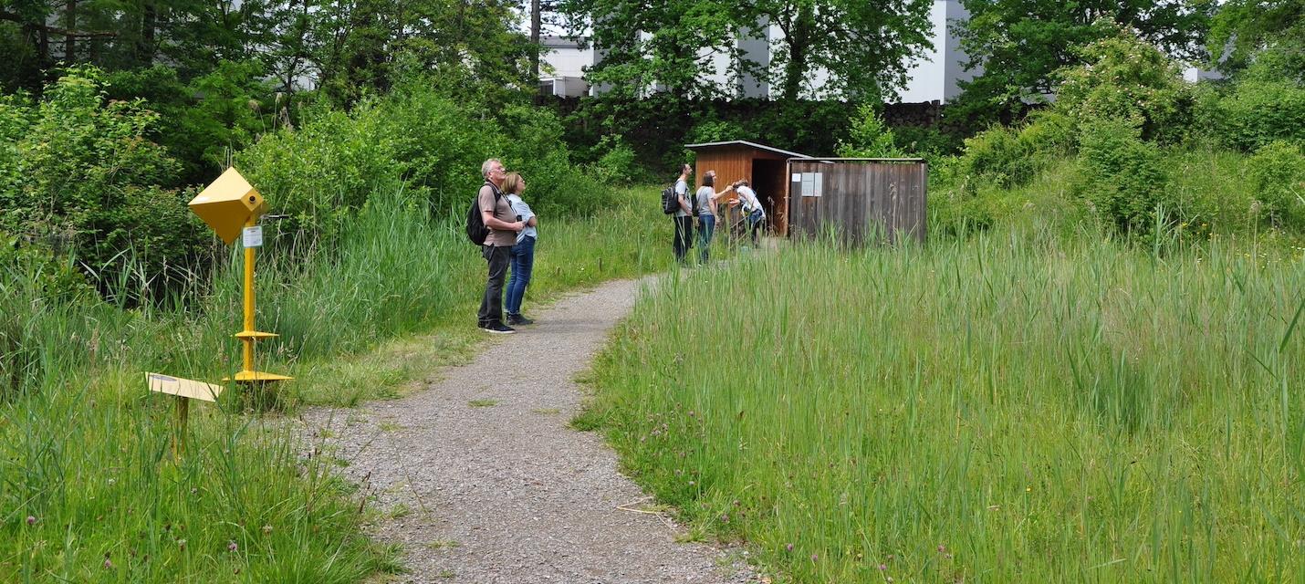 Vor der Beobachtungshütte