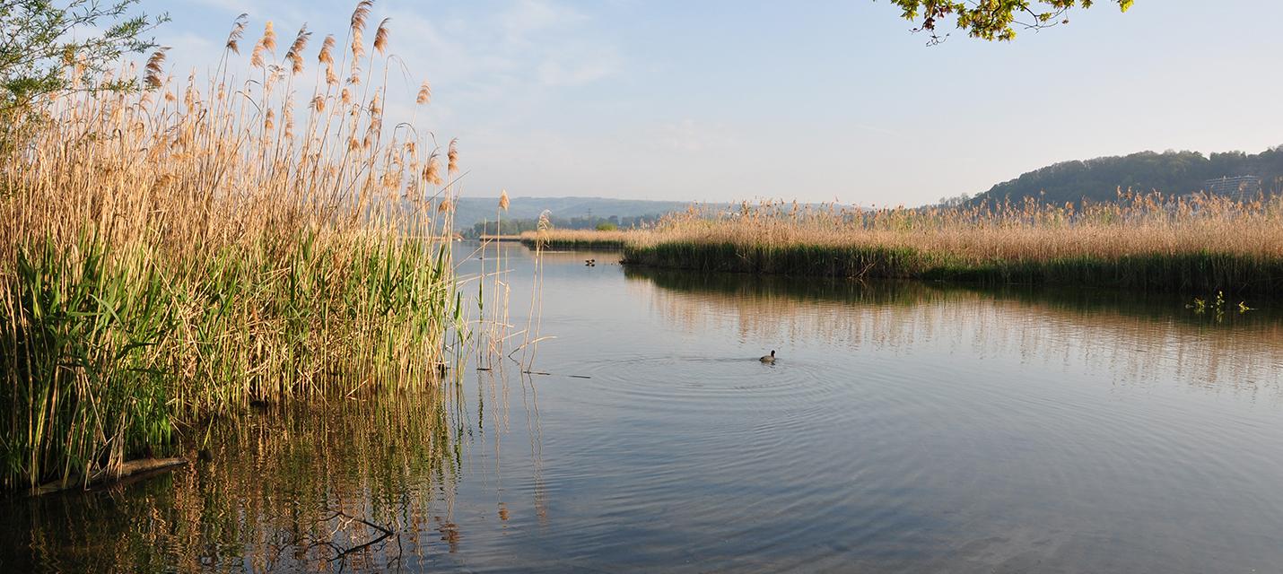 Stausee in der Morgensonne