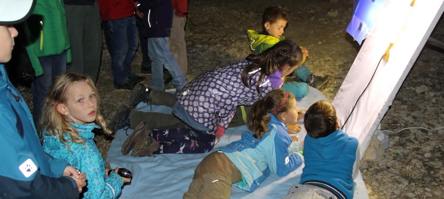 Familien bei einer Nachtfalterexkursion