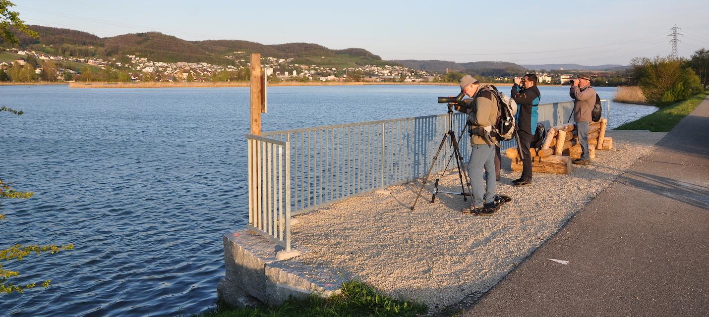 Ornithologen am Stausee