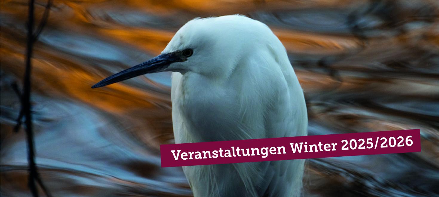 Veranstaltungen Winter 2025/2026